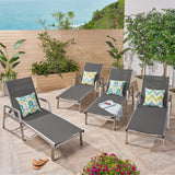 Outdoor Mesh and Aluminum Chaise Lounge - NH341503