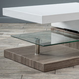 Rectangular Mod Swivel Coffee Table w/ Glass - NH173592
