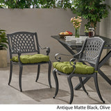 Allee Outdoor Dining Chair with Cushion (Set of 2)