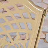 Outdoor Cast Aluminum Arm Chair (Set of 2) - NH456503