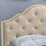 Button-Tufted Camelback Queen Bed Frame with Nailhead Trim - NH698603