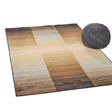 Indoor Abstract Reflected Gradient Blue and Brown Rectangular Area Rug - NH502603