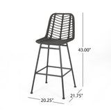 Outdoor Wicker Barstools (Set of 2) - NH189903