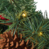 24" Mixed Pine Pre-Lit Warm White LED Artificial Christmas Wreath with Pine Cones and Berries - NH235313