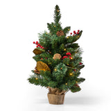 24" Pine Pre-Lit Clear LED Pre-Decorated Artificial Christmas Tree - NH635313