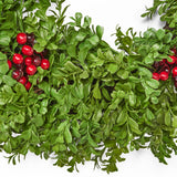 26" Artificial Boxwood Wreath with Red Berries - NH370413