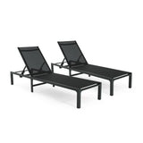 Deburoe Outdoor Adjustable Chaise Lounge(Set of 2)