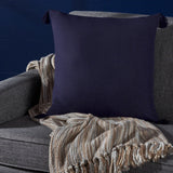 Traditional Square Fabric Throw Pillow with Tassel Accents - NH767203