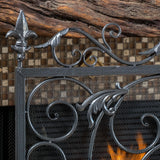 Black Brushed Silver Finish Wrought Iron Fireplace Screen - NH944592