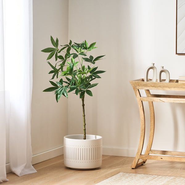 faux money tree Coles Artificial Money Tree – NobleHouseFurniture