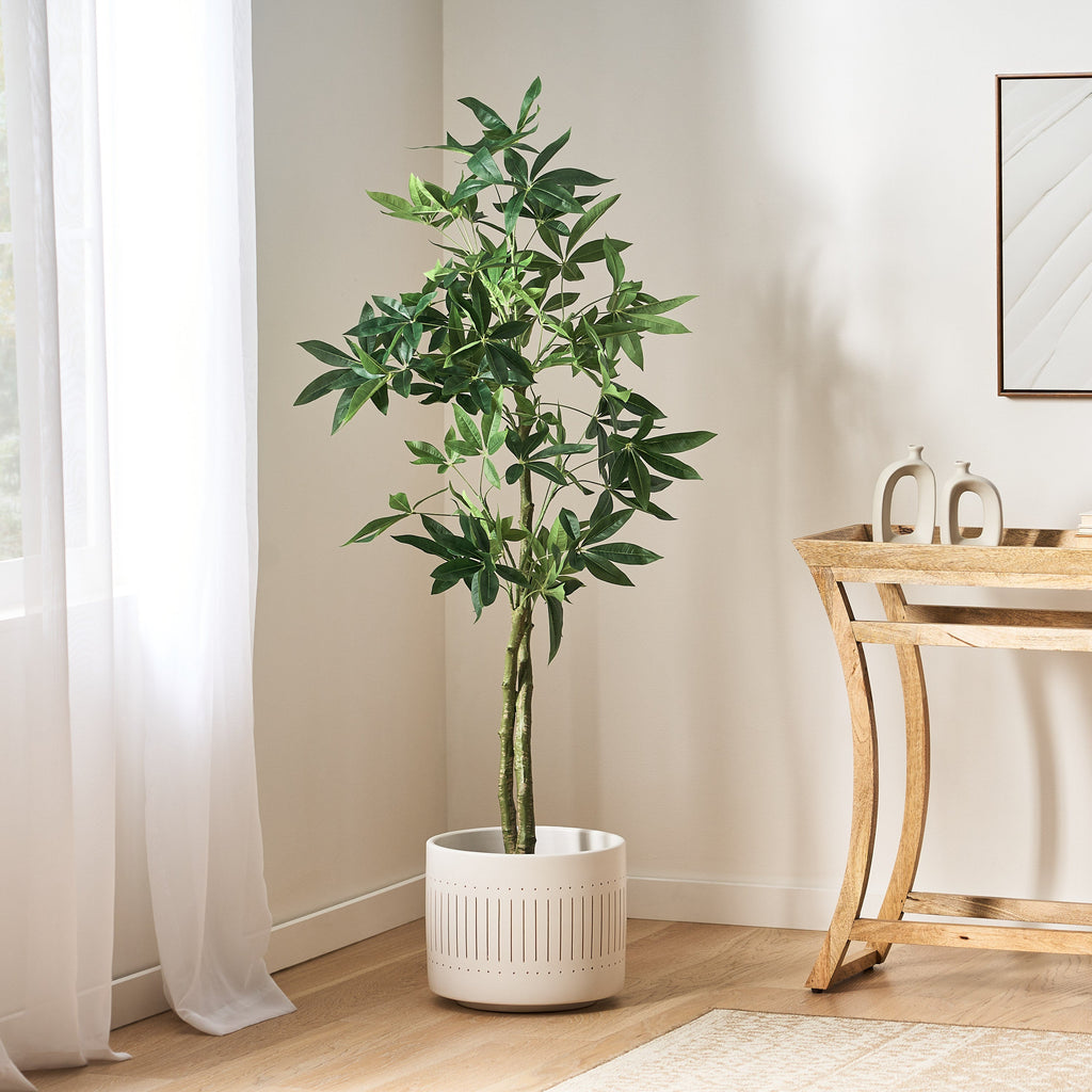 Coles Artificial Money Tree – NobleHouseFurniture