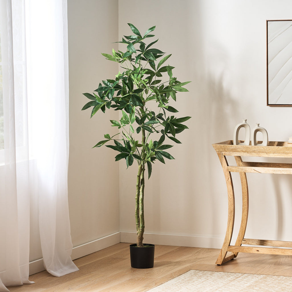 Coles Artificial Money Tree Noble House Furniture