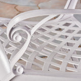 Outdoor Cast Aluminum Arm Chair (Set of 2) - NH456503