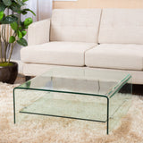 Modern Square Tempered Glass Coffee Table with Shelf - NH027692