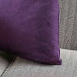 Soft Smooth Fabric Throw Pillow (Set of 2) - NH016103