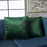 New Velvet Throw Pillow (Set of 2) - NH185103