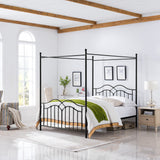 Traditional Iron Canopy Queen Bed Frame - NH003803