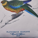 Outdoor Cushion, 17.75" Square, Parrot Print, Vintage, White, Green, Blue, Red, Yellow, Gray - NH141703