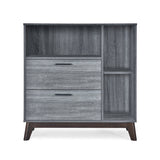 Mid-Century Modern 2 Drawer Cabinet - NH359313