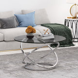 Modern Glass Top Round Coffee Table, Gray and Chrome - NH026413