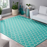 Indoor Area Rug - NH303213