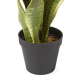Artificial Snake Plant - NH419313