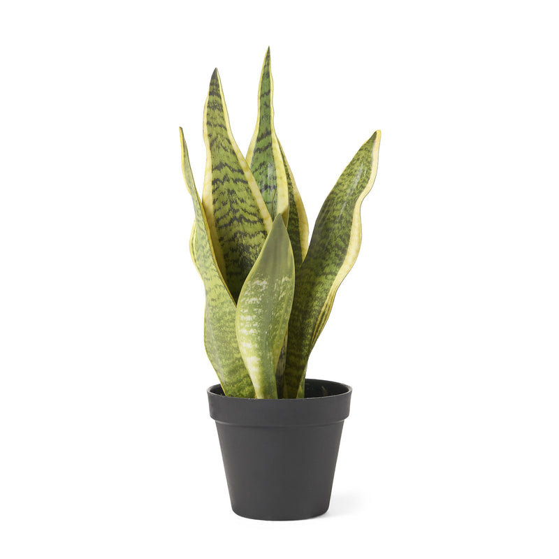 Artificial Snake Plant - NH419313
