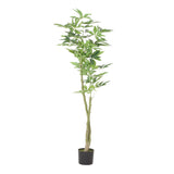 Coles Artificial Money Tree