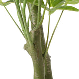 Coles Artificial Money Tree