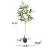 Coles Artificial Money Tree