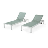 Outdoor Chaise Lounges (Set of 2) - NH161313