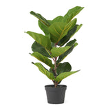Artificial Fiddle-Leaf Fig Tree - NH347313
