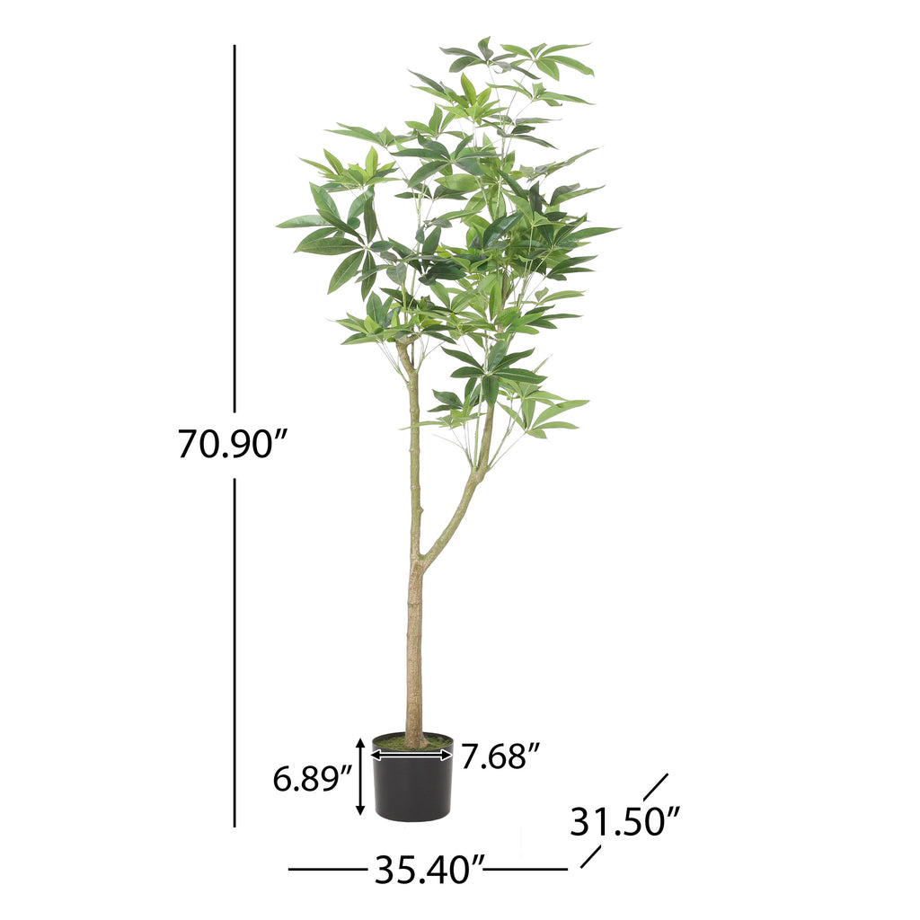 Coles Artificial Money Tree – NobleHouseFurniture